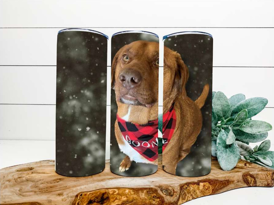 Custom Picture 20oz Tumbler